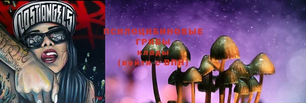 прущие крисы Верхний Тагил