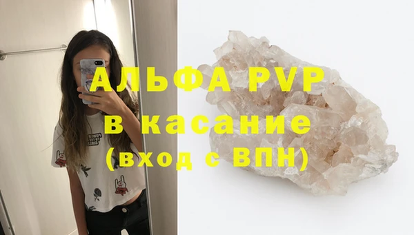 сатива Бородино