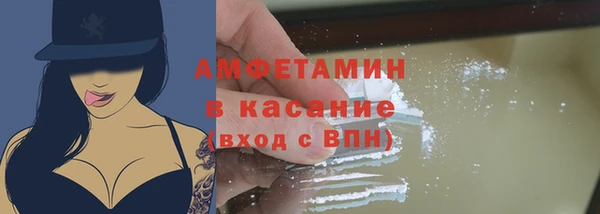 сатива Бородино