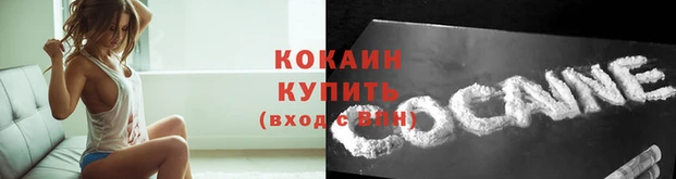 прущие крисы Верхний Тагил