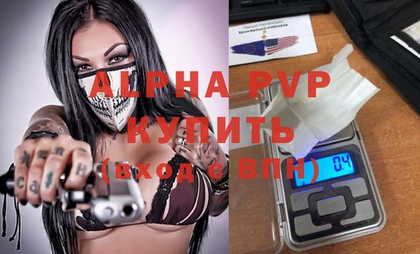 сатива Бородино